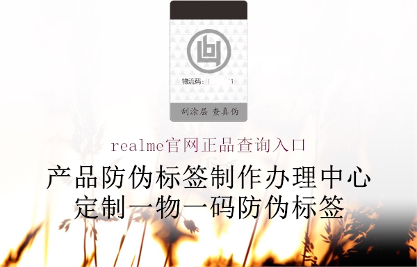 realme官網(wǎng)正品查詢?nèi)肟?.jpg