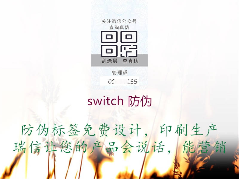 switch 防偽1.jpg